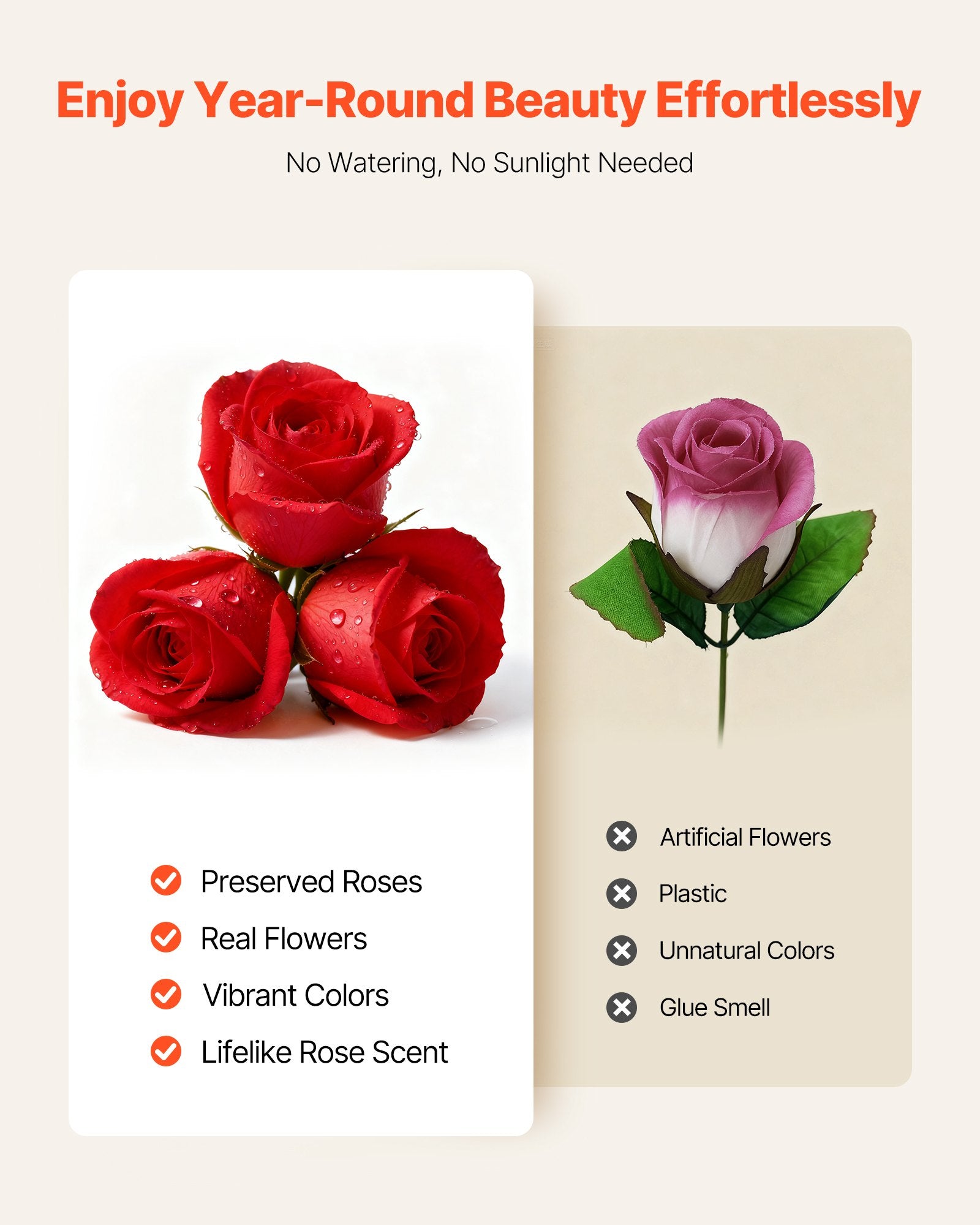 Forever Flowers, 27 Preserved Roses In A Box, Eternal Flowers Immortal Bouquet Birthday Present For Delivery Prime Women Her Wife Mothers, Anniversary, Valentine's Day,Christmas, Red